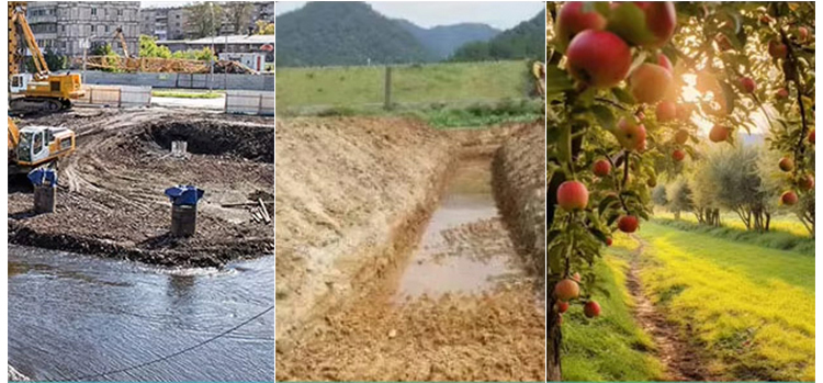 Недорогой мини-погрузчик на продажу Недорогой мини-погрузчик на продажу