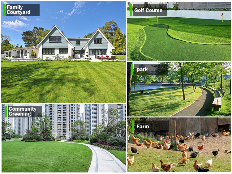 Excavatrice de 1,8 tonne Excavatrice de 1,8 tonne