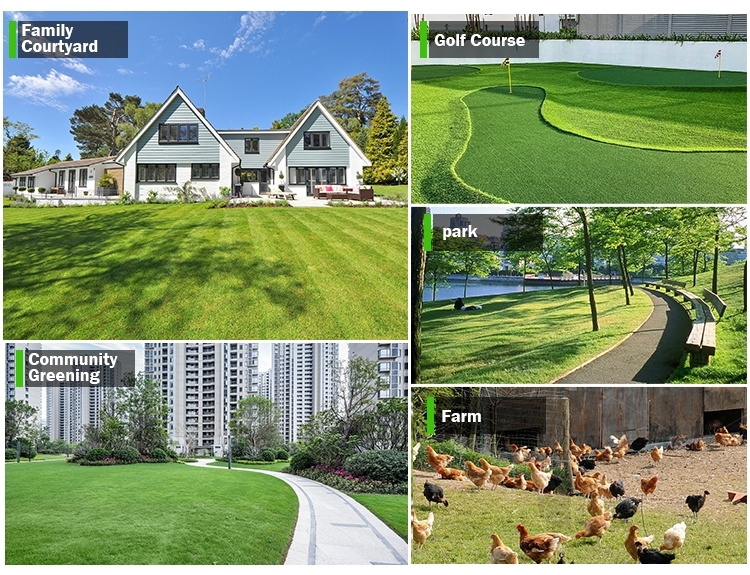 Excavatrice de 1,7 tonne Excavatrice de 1,7 tonne